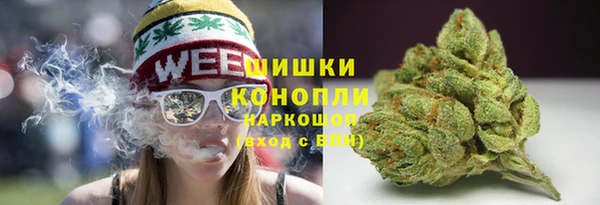 спиды Пестово