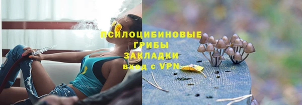 первитин Пересвет